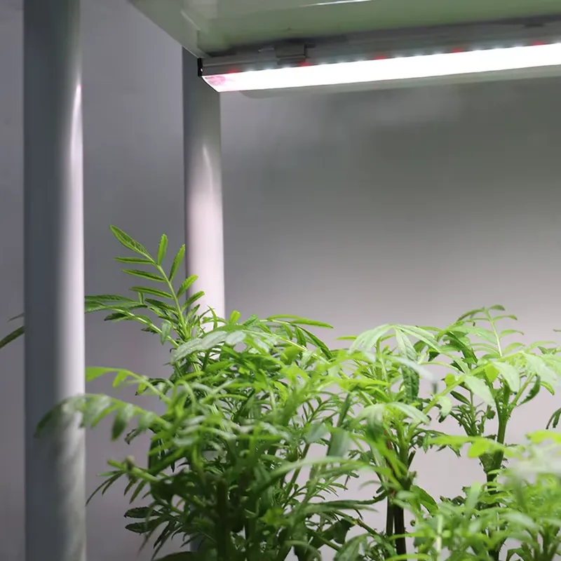 Self-Watering Planter - Jardinera Inteligente Vertical Móvil de 3