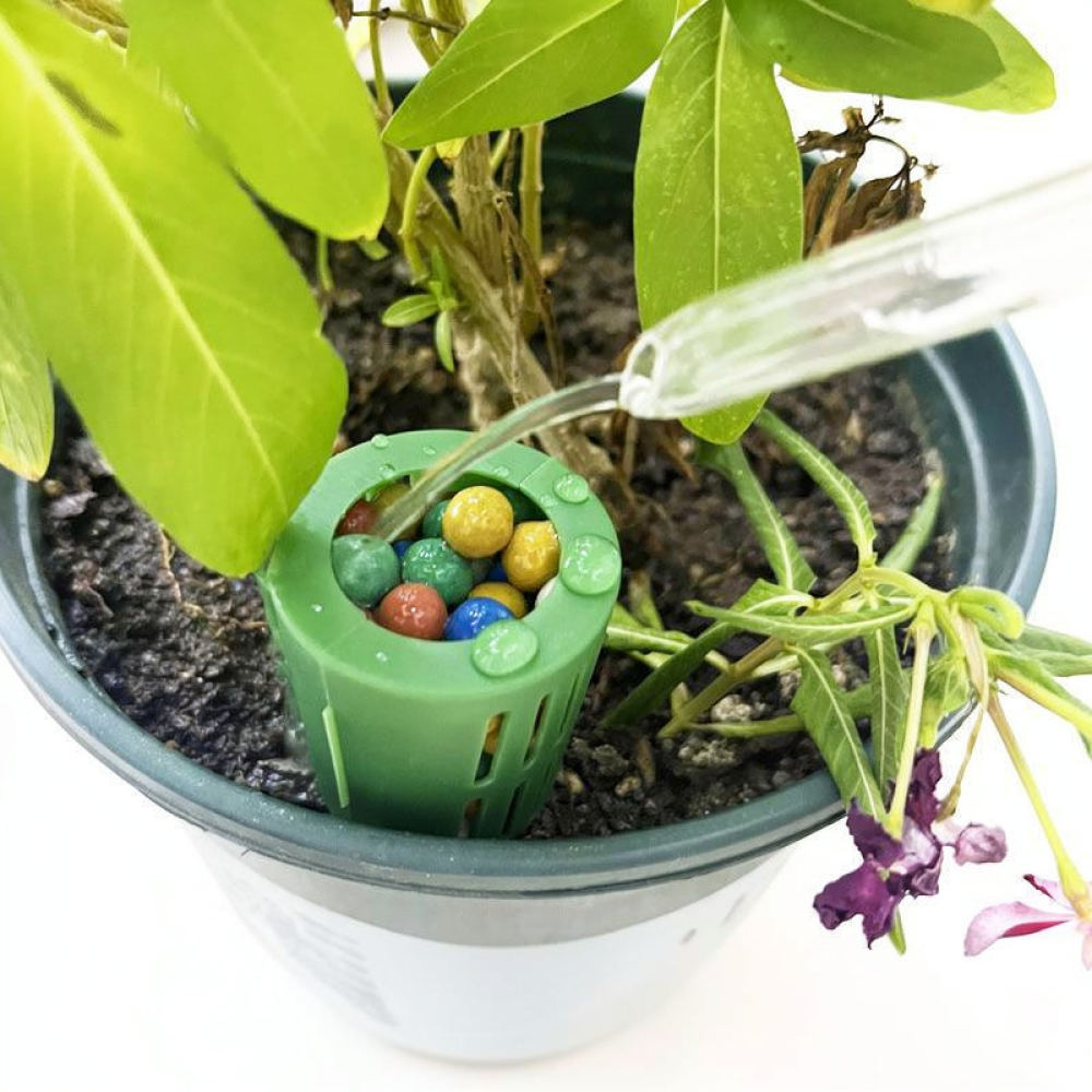Caja de fertilizante para plan - Gardening Tools Essential reseña y precio