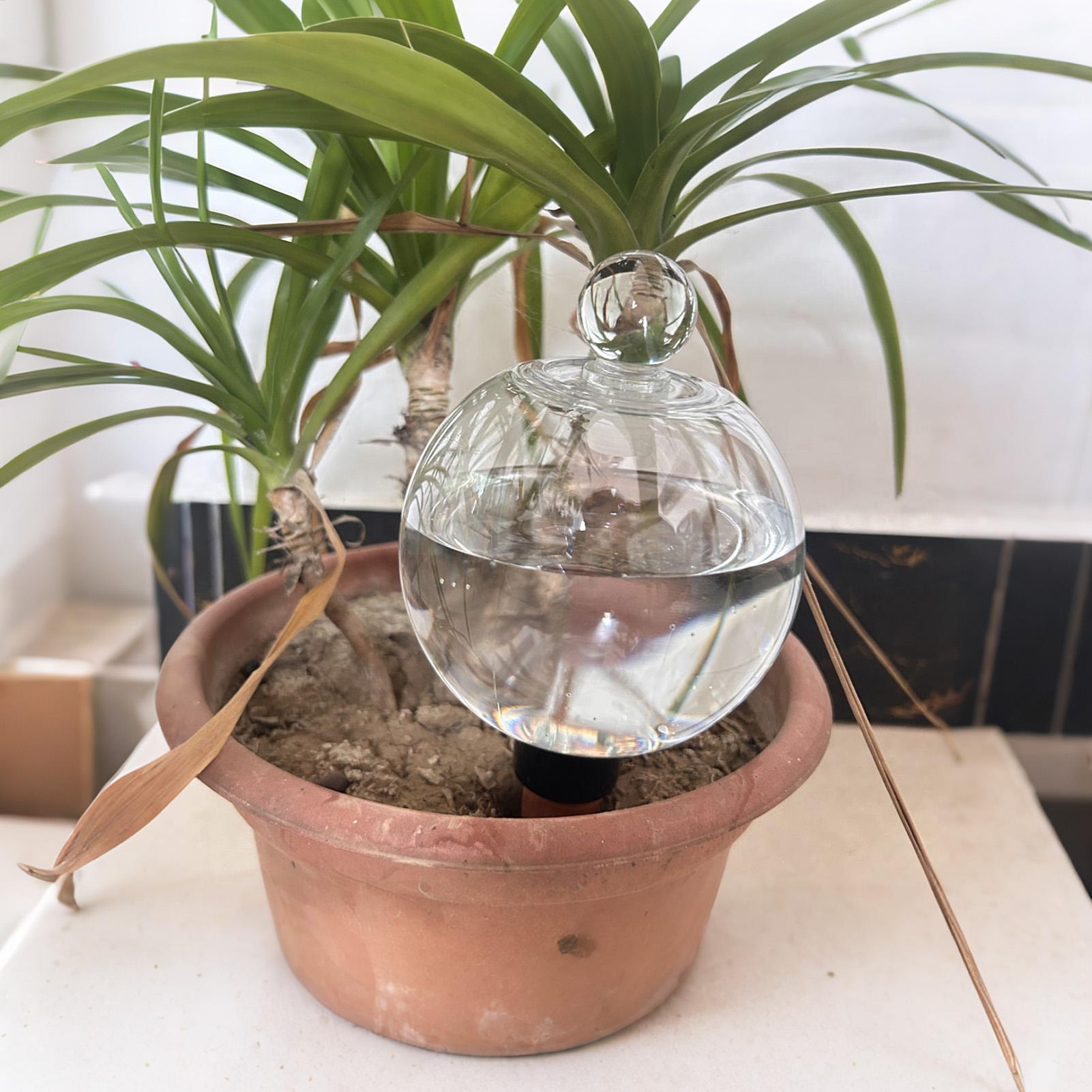 Bombillas de Riego para Planta - Automatic Plant Waterer reseña y precio