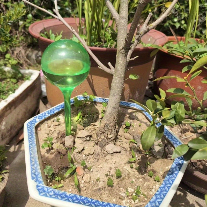 6 Bolas de Riego Automático pa - Automatic Plant Waterer reseña y precio