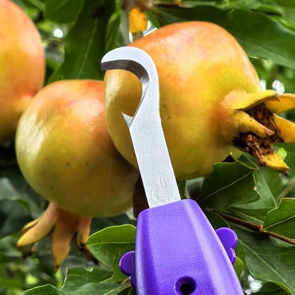 Herramienta portátil multifunc - Gardening Tools Vegetables reseña y precio