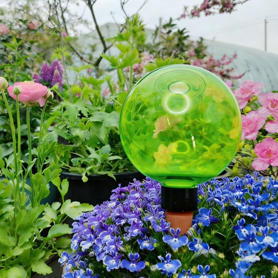 3 Globos de Riego Automático p - Self-Watering Planter reseña y precio