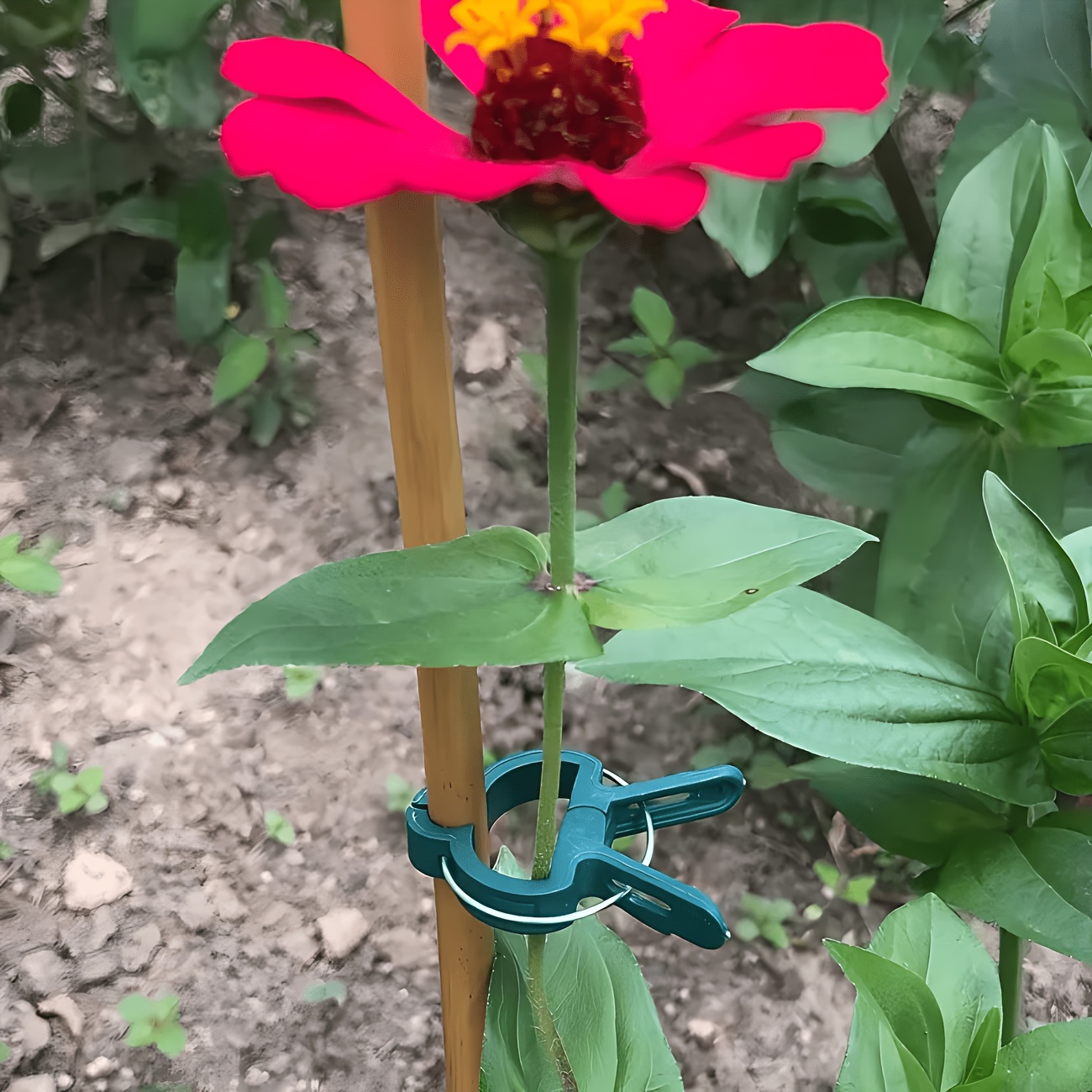Clips ajustables para plantas, - Gardening Tools Essential reseña y precio